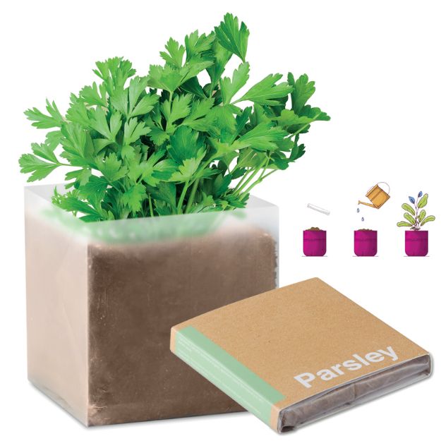 compost met peterselie zaadjes