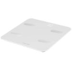 prixton bc300 balans weegschaal