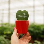 message printz® hartjesplant