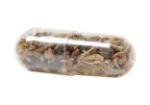 bloem zaad capsule biyok