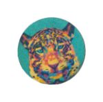 custom made trolleymunt colocoin