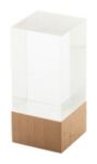 glazen trofee polofi