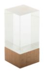 glazen trofee polofi