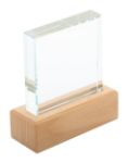 glazen trofee rectofi