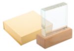 glazen trofee rectofi