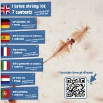 educatief spel voor kinderen prehistorische dieren