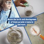 educatief spel voor kinderen prehistorische dieren