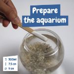 educatief spel voor kinderen prehistorische dieren