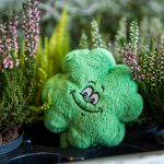 pluche klaverblad
