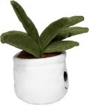 pluche aloe vera