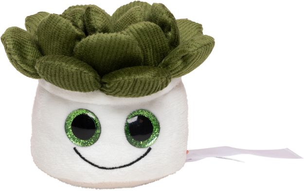 pluche vetplant