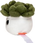 pluche vetplant