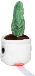 pluche cactus