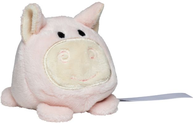 pluche varken
