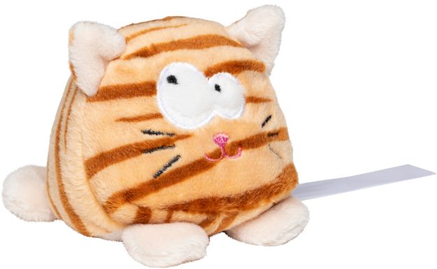 pluche kat