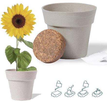 bloempot tumil zonnebloemen