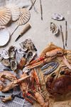 vinga story of seafood gift box