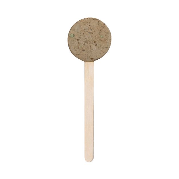 zaad-lolly zaden van wilde bloemen ebeldy