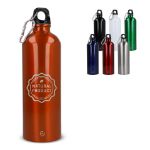 rvs enkelwandige fles met karabijnhaak 750 ml