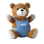 pluchen teddybeer met kleurrijke outfit.
