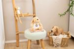 pluche knuffelhond hailey