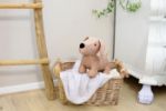 pluche knuffelhond liza
