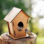 houten vogelhuisje lindl