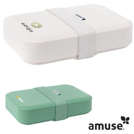 amuse classic lunchbox large