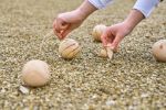 houten balspelset quillian