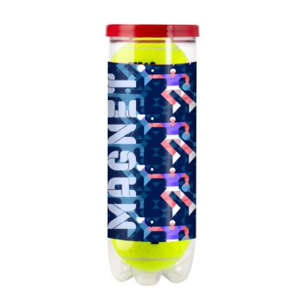 wilson championship tennisballen