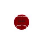 tennisbal gekleurd