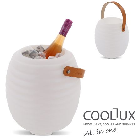 mini wijnkoeler met speaker