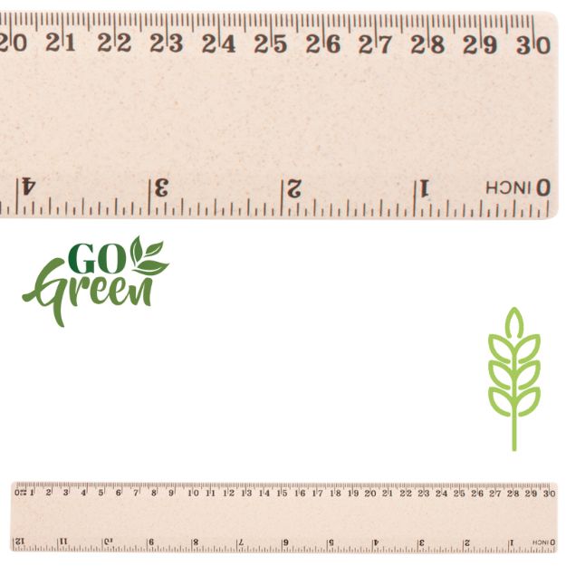 liniaal whealer 30 cm tarwestro