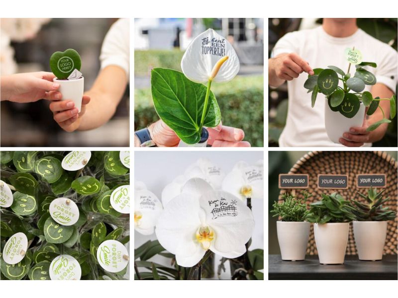 Bedrukte plantjes geven? 