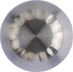 gerecycled roestvrijstalen thermosfles 500 ml clif