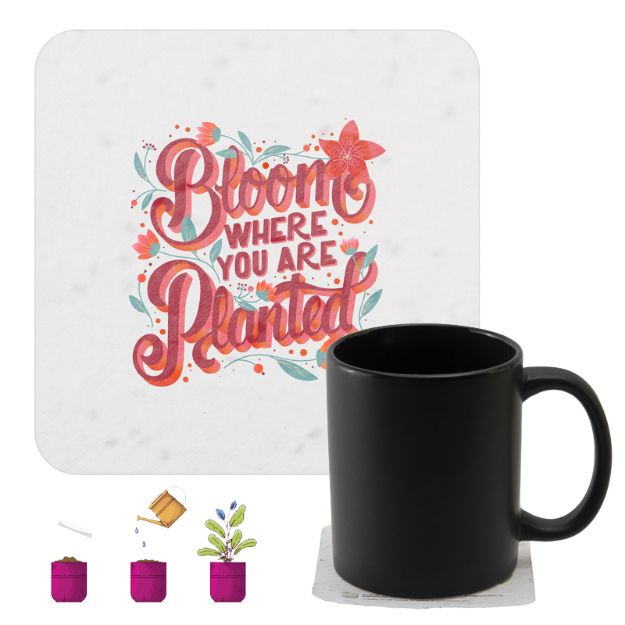 vierkante onderztter van zaadpapier 200 g