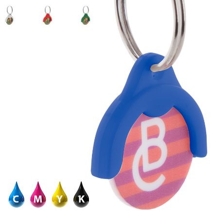 sleutelhanger met full color bedrukte munt.