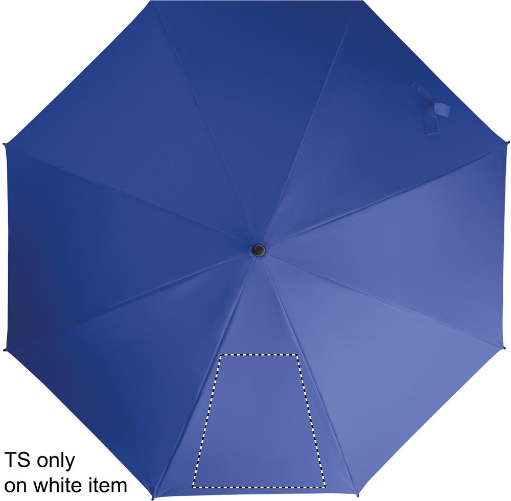 digital transfer <50 cm2 (260 x 260 mm)