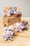 pluche varken sleutelhanger met opdruk op t-shirt