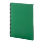 notebook a5 formaat recycled papier spiraal 80 vel - groen