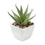 mini kunstplantje in pp aloë ferox molenvorm