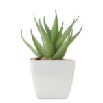 mini kunstplantje in pp aloë ferox molenvorm