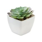 mini kunstplantje in pp echeveria vorm