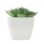 mini kunstplantje in pp echeveria vorm