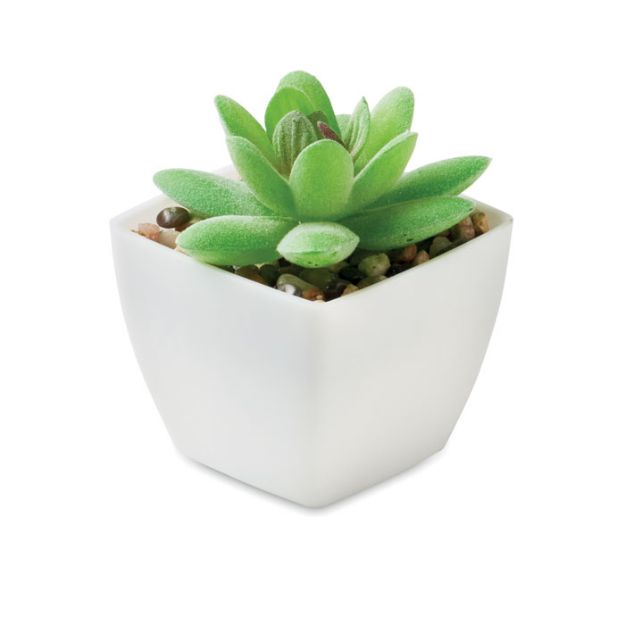 mini kunstplantje graptopetalum paraguayense vorm