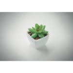 mini kunstplantje graptopetalum paraguayense vorm