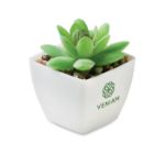 mini kunstplantje graptopetalum paraguayense vorm