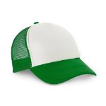 polyester en mech pet