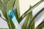 custom made label om rond planten te hangen