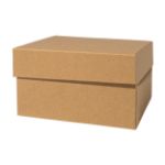 set met whisky glas higland 250 ml in geschenkdoos